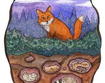 Nighttime Fox and Animals Woodland Art Print 11"x14"