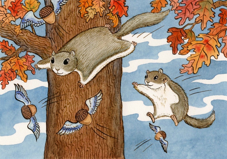 Flying Squirrel Acorn Art Print 11 x 14 Nutty Flyers image 1