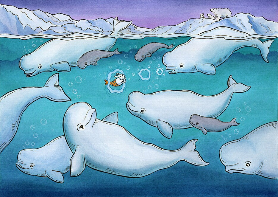 Stampa artistica di Beluga Whale The Pod 8"x10"