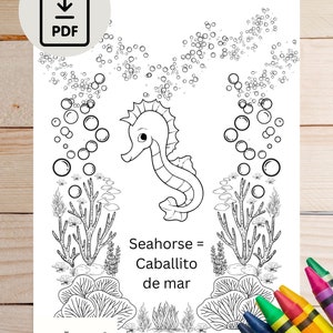 Printable language learning coloring book pages. Learn Spanish; sea animals coloring book pages with English to Spanish translations.