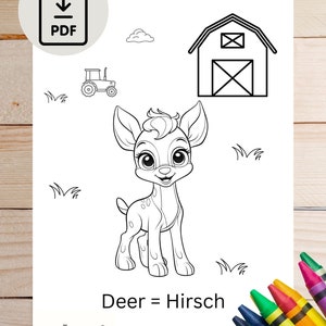 Printable language learning coloring book pages. Learn German; farm animals coloring book pages with English to German translations.