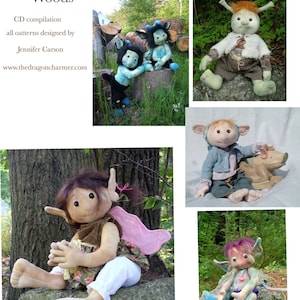 Puede incluir: Una colección de criaturas fantásticas hechas a mano, incluyendo una hada con alas rosas, un gnomo con un sombrero marrón y una pixie con cabello morado. Las criaturas están todas sentadas en rocas en un entorno de bosque. La imagen incluye el texto "Into the Magical Woods" y "CD compilation all patterns designed by Jennifer Carson www.thedragoncharmer.com".