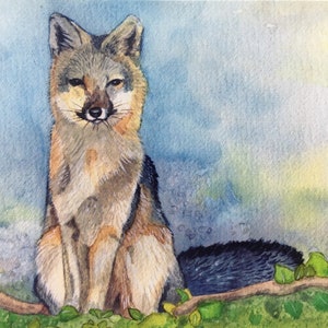 Gray Fox kunst sympathiekaarten, denkend aan je groet