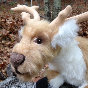 Puede incluir: Un peluche de reno con pelaje marrón claro y blanco, ojos marrones y cuernos beige. El reno tiene una nariz marrón oscuro y está sobre un fondo borroso al aire libre.