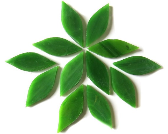 Green Tea Handcut Small Petals for Mosaics or Stained Glass 12 or 24 pieces