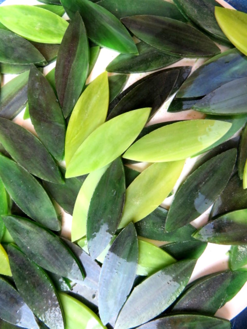 Green Leaves Mix, SMALL Glass Petals for Mosaics or Stained Glass, Available in Quantities of 24 or 48 Petals image 1