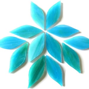 May include: Arrangement of turquoise and teal leaf-shaped glass pieces. The pieces are arranged in a starburst pattern against a white background. The glass has a translucent quality.