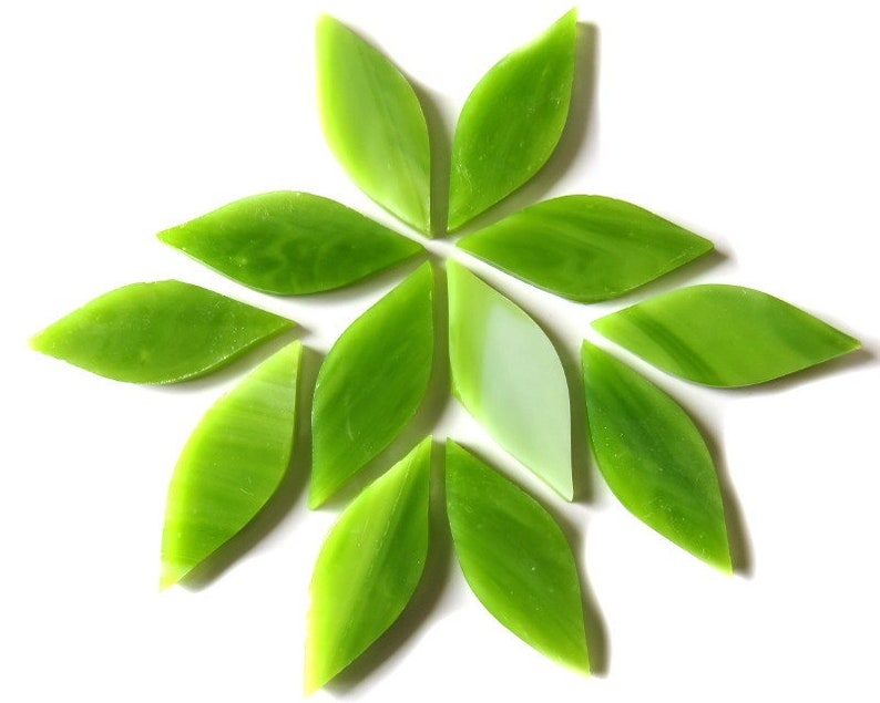 Green Tea Handcut Small Petals for Mosaics or Stained Glass 12 or 24 pieces