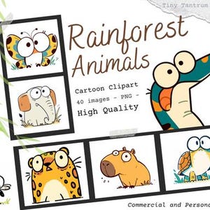 Cartoon Rainforest Animal Clipart: Jungle Safari PNG (commercial license included)