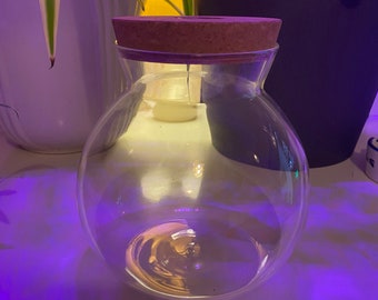 Bioloark Bio Bottle ZD200 - Etsy