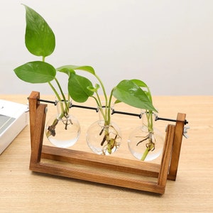 Tischplatte Glas Vermehrung Station mit Retro Holzständer Hydrokultur Pflanzer Terrarium Vase Pflanzen Tischdekoration
