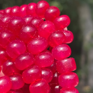May include: A close-up of a strand of bright pink beads. The beads are round and smooth, and they have a glossy finish.