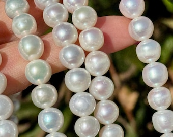 洋書 CULTERED PEARLS THE PEARL NECKLACE❤︎洋書 Amazon | The Pearl (Penguin Audio