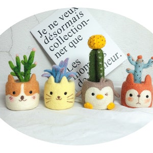 Needle Felting DIY Kit with Tools – 4 Succulent and Cactus Plants (with English Instructions)