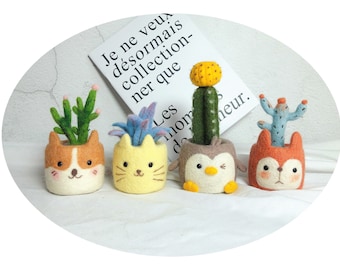 Needle Felting DIY Kit with Tools – 4 Succulent and Cactus Plants (with English Instructions)