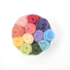 Wool Set of 12 Colors - Rainbow Colors, 8 Grams Each Color - Etsy