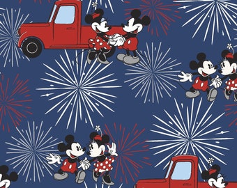 Mickey Mouse and Minnie Mouse, Fireworks with Metallic highlights on blue, yard