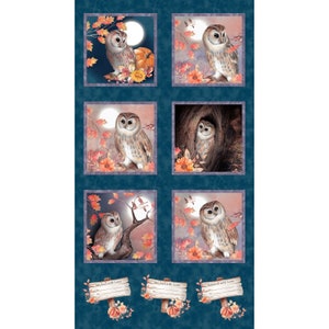 Studio E Fabrics, &quot;NIGHT OWLS&quot; Collection, Owl Panel 24&quot; X 44&quot;
