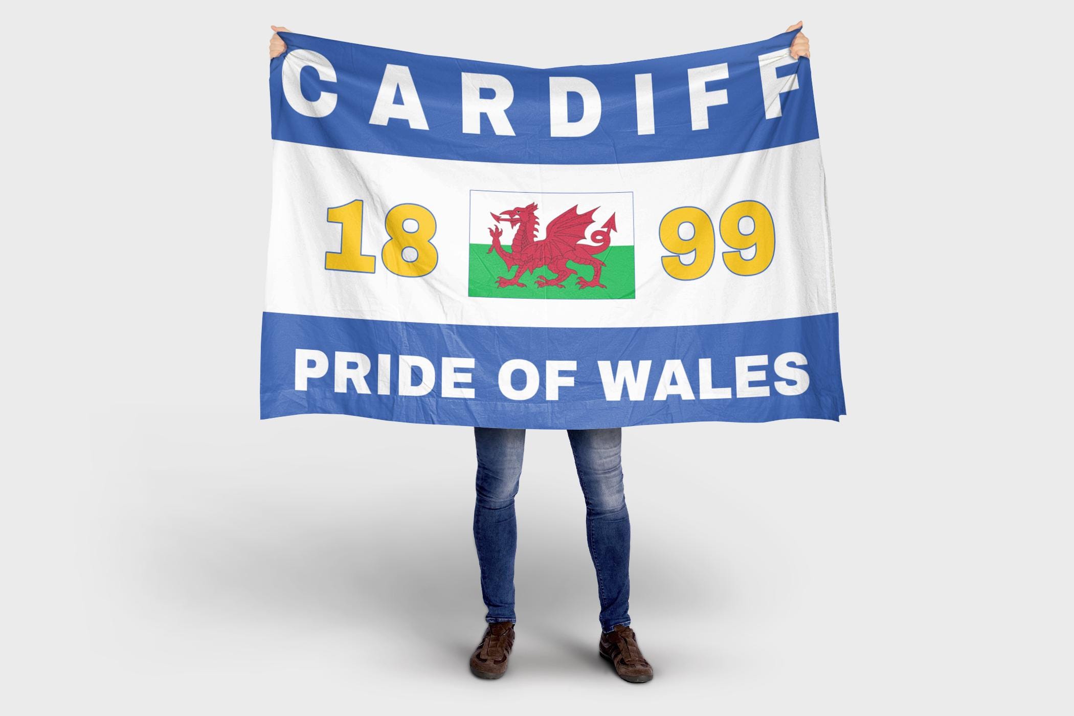 FANION WIMPEL PENNANT BANDERIN 9x11cm CARDIFF CITY FC (england