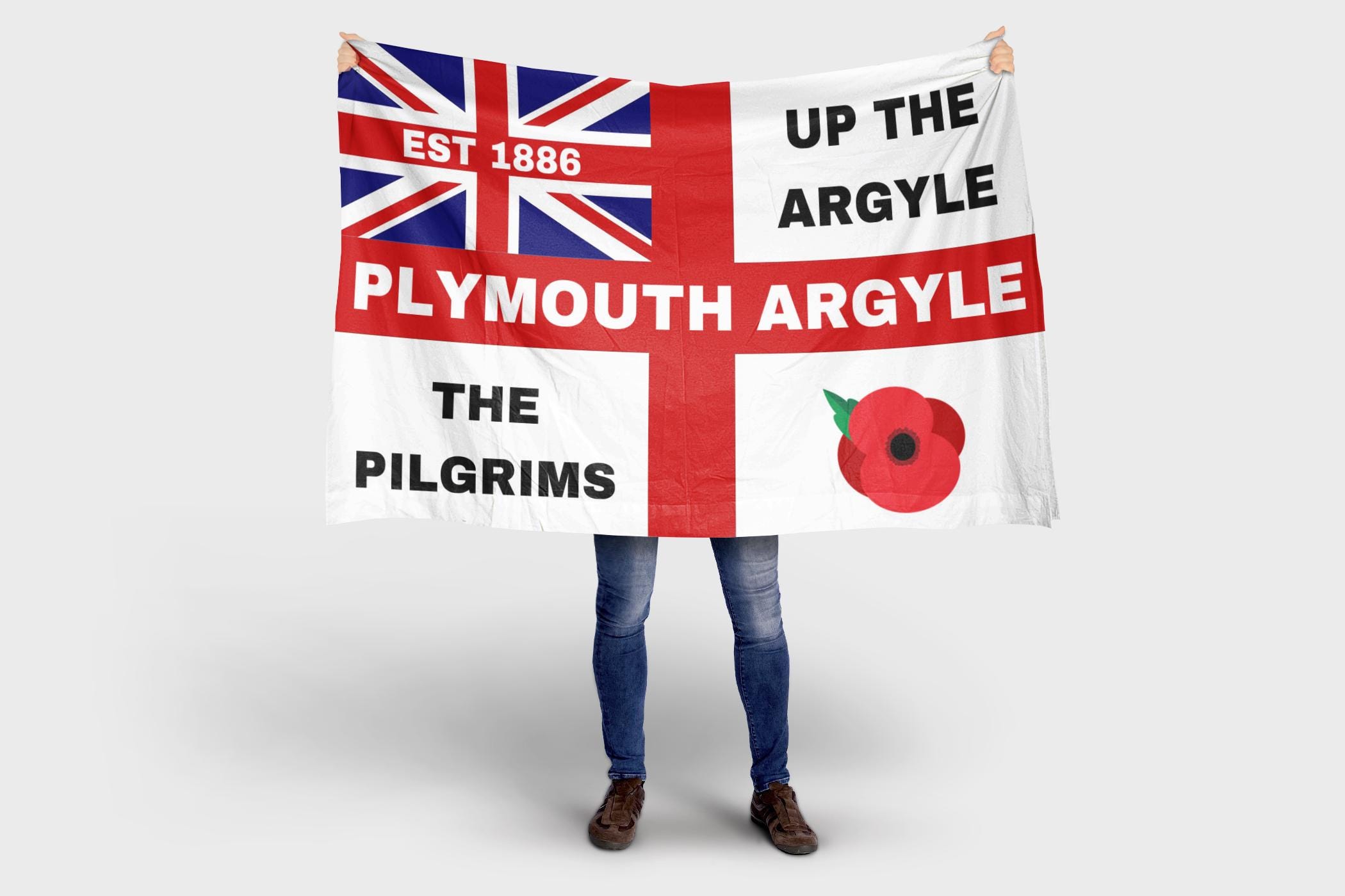 FANION WIMPEL PENNANT BANDERIN 9x11cm PLYMOUTH ARGYLE FC