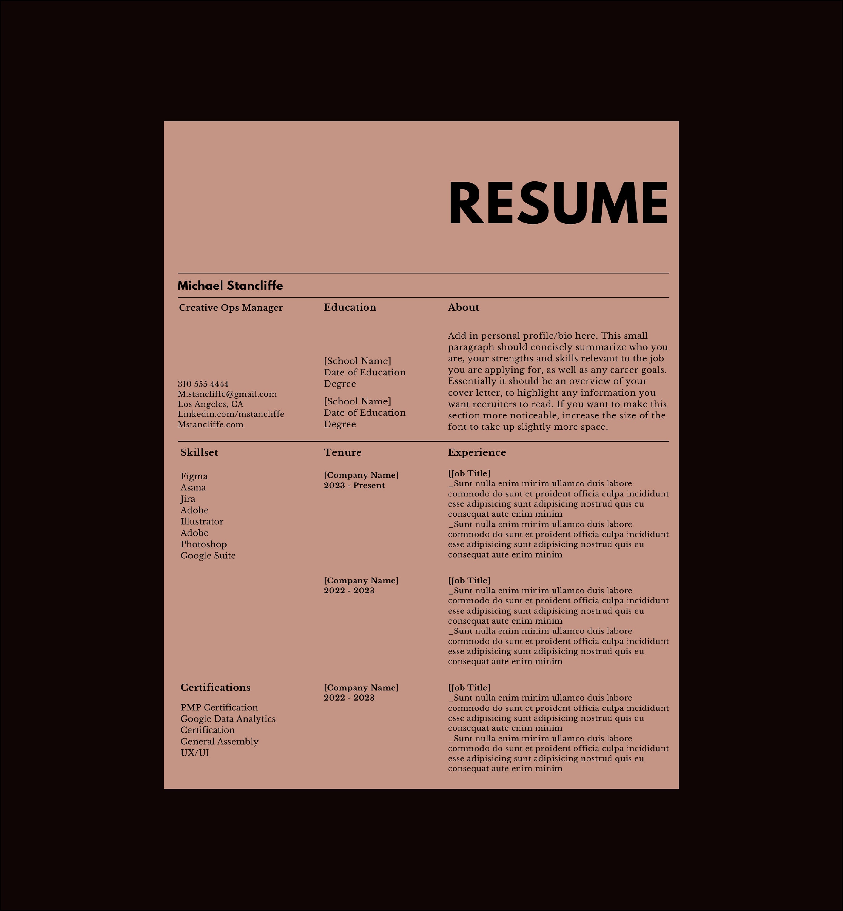 Minimalist Resume Template: Creative Canva Design (digital Download) - Etsy