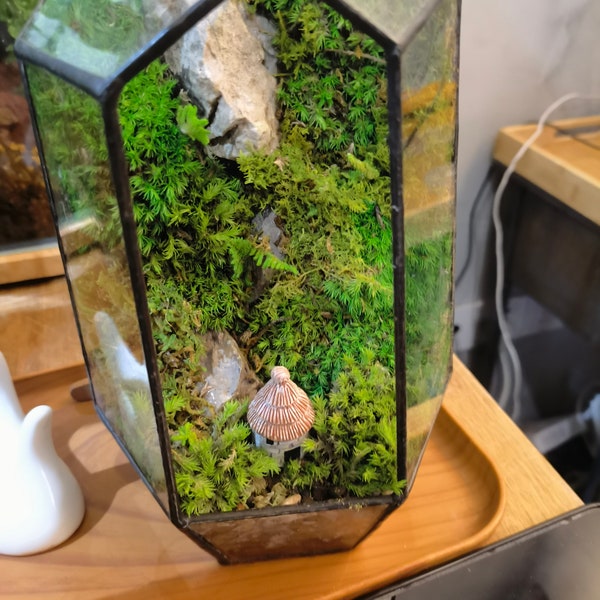 Preserved Moss Landscape, Geometric Terrarium Moss Wall with Stone & Mushroom House, Nature in Glass, Mini Ecosystem for Desk Decor