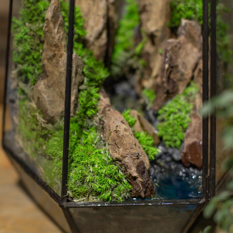 May include: A glass terrarium with a black metal frame filled with moss, rocks, and a small pool of blue water.