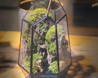 May include: A geometric glass terrarium with a black metal frame, filled with green moss and rocks. The terrarium is on a wooden surface.
