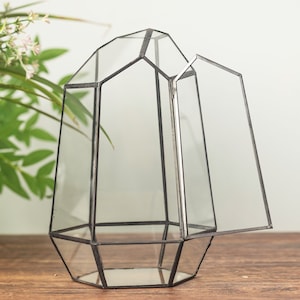 May include: A geometric glass terrarium with a hinged door. The terrarium is made of clear glass with a black metal frame. It is a decorative piece that can be used to display plants or other small objects.