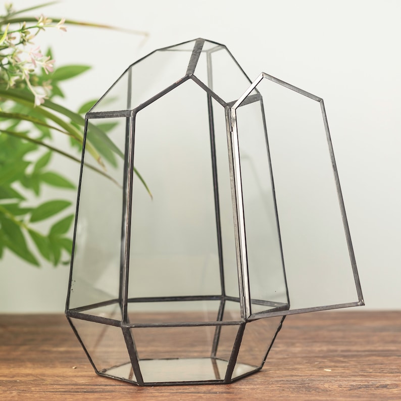 May include: A geometric glass terrarium with a hinged door. The terrarium is made of clear glass with a black metal frame. It is a decorative piece that can be used to display plants or other small objects.