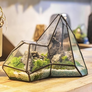 Geometric Glass Terrarium with Preserved Moss Art, Miniature Mountain Stone Landscape for Modern Home Decor, Easy Care Terrarium Plants Gift