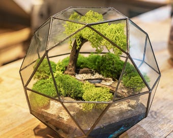 Polyhedral spherical terrarium with moss landscape - a miniature world of the Tree of Life and natural ponds, Zen home decor creative gifts