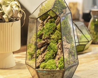 Geometrisches Glasterrarium mit Bergmooslandschaft, erhaltene Mooswandkunst, Natur inspiriert, Zengarten, Desktop-Mossarium-Mittelstück