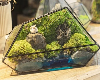Op de afbeelding: Een glazen terrarium met een zwart metalen frame, gevuld met groen mos, een klein wit schaapje en een blauwe vloeistof op de bodem.