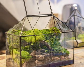 Geometric GreenHouse Terrarium with Preserved Moss, Fern Plants, Wood, Rocks and Pool, Desktop Nature Landscape, Terrarium Moss Plants Gifts