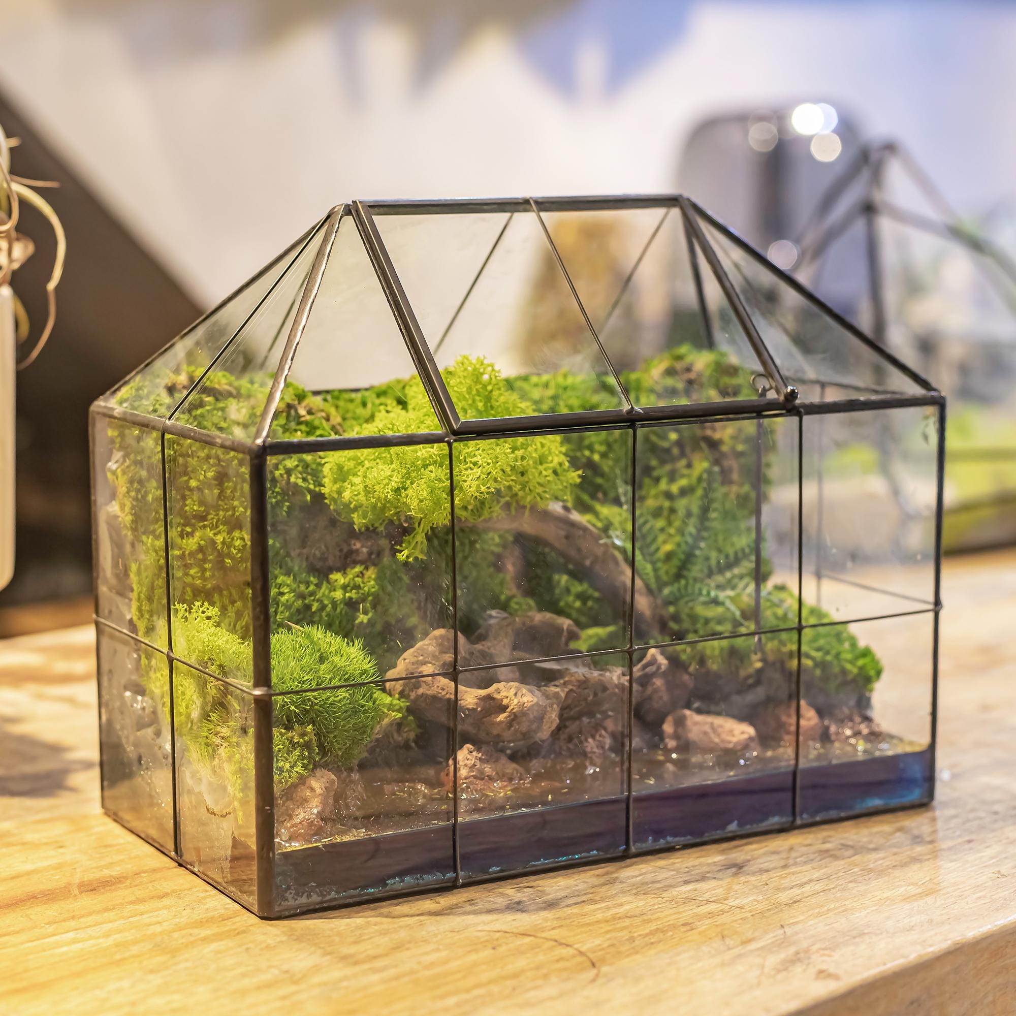 Geometric Greenhouse Terrarium With Preserved Moss, Fern Plants