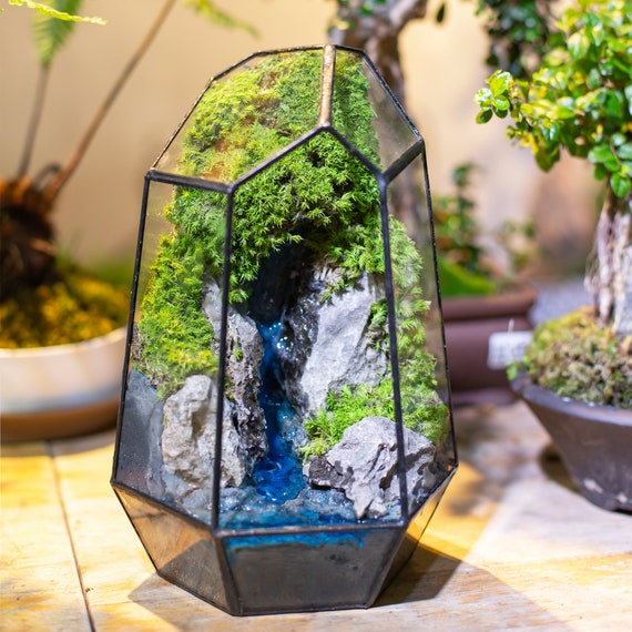 Zen Garden Home Preserved Plants, Mountain Terrarium With