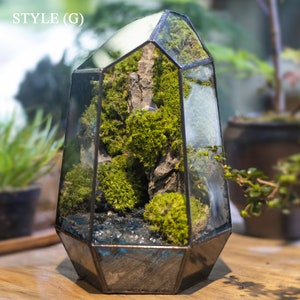 May include: A glass terrarium shaped like a geometric crystal with a black metal frame. The terrarium is filled with green moss, small rocks, and a layer of blue glitter at the bottom. The terrarium is labeled "STYLE (G)".