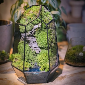 May include: A geometric glass terrarium filled with green moss and small rocks. The terrarium is shaped like a diamond and has a clear glass lid.