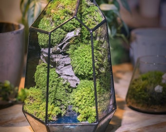 Preserved Moss Art in Geometric Terrarium, Mountain Moss Terrarium, Natural Desk Ecosystem, Live Green Decor Personalized Housewarming Gifts
