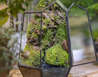 Miniature Ecosystem with Preserved Moss, Mountain Springs Geometric Terrarium with Door, Zen Garden, Unique Plant Decor for Nature Lover