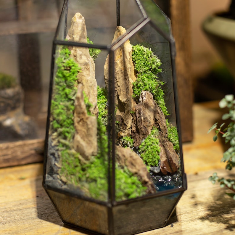 May include: A glass terrarium with a black metal frame, filled with moss, rocks, and a small pool of water. The terrarium is a miniature landscape with a natural, organic aesthetic.