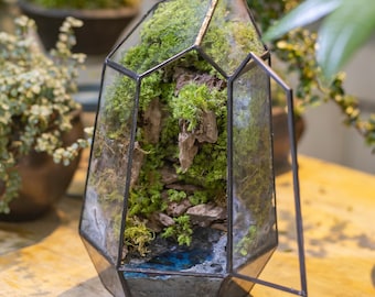 Handcrafted Miniature Ecosystem with Preserved Moss, Mountain Springs Geometric Terrarium with Door Unique Home Decor for Nature Enthusiasts