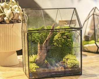 Handmade Greenhouse Glass Terrarium with Preserved Moss, Wood, Faux succulent, Rocks and River, Desktop Mini Ecosystem, Terrarium Moss Gifts