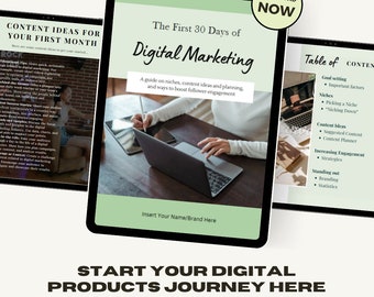 PLR MMR Beginner Guide of first month selling Digital Products / digital marketing. EASY