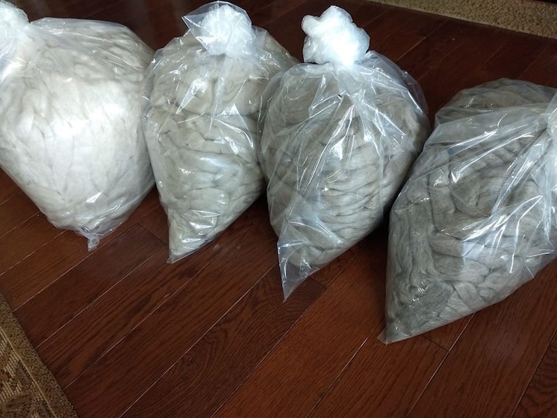 May include: Four plastic bags filled with different shades of gray wool fiber. The bags are arranged in a row on a wooden floor.