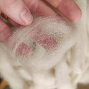 May include: Close-up of a soft, white, fluffy fiber. The fiber is being held in a hand, and the texture is visible.