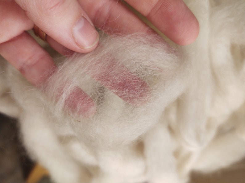 May include: Close-up of a soft, white, fluffy fiber. The fiber is being held in a hand, and the texture is visible.