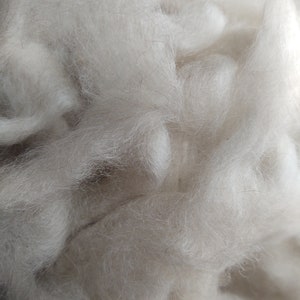May include: A close-up of a pile of white wool fibers. The wool is soft and fluffy, and it appears to be natural.