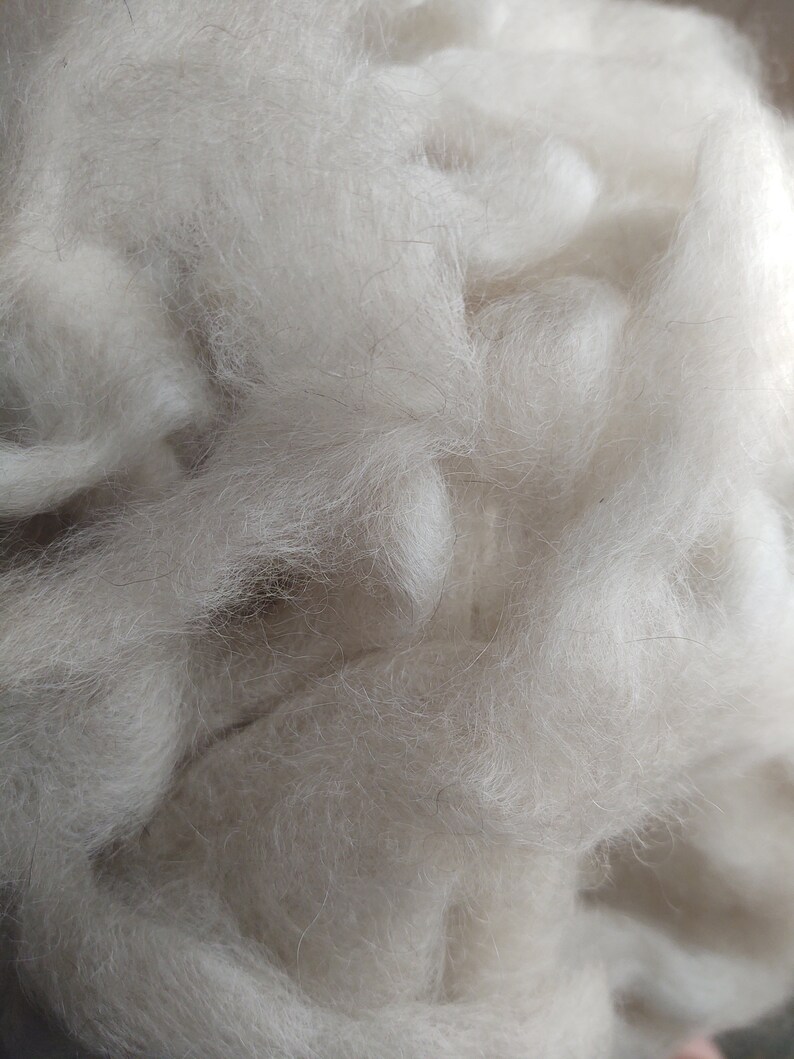May include: A close-up of a pile of white wool fibers. The wool is soft and fluffy, and it appears to be natural.